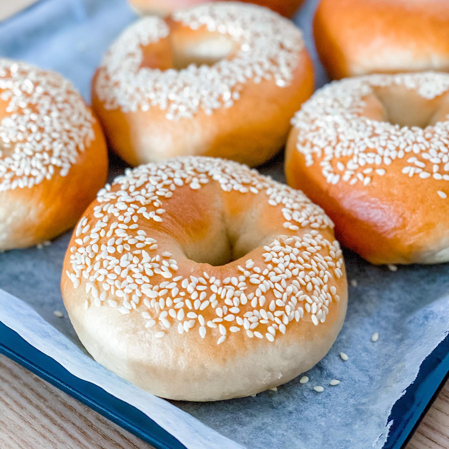 自製手揉原味/芝麻Bagel