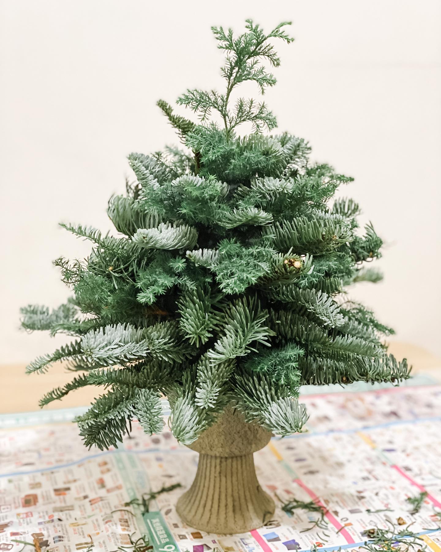 特別企劃 - 自製聖誕樹 - step 2