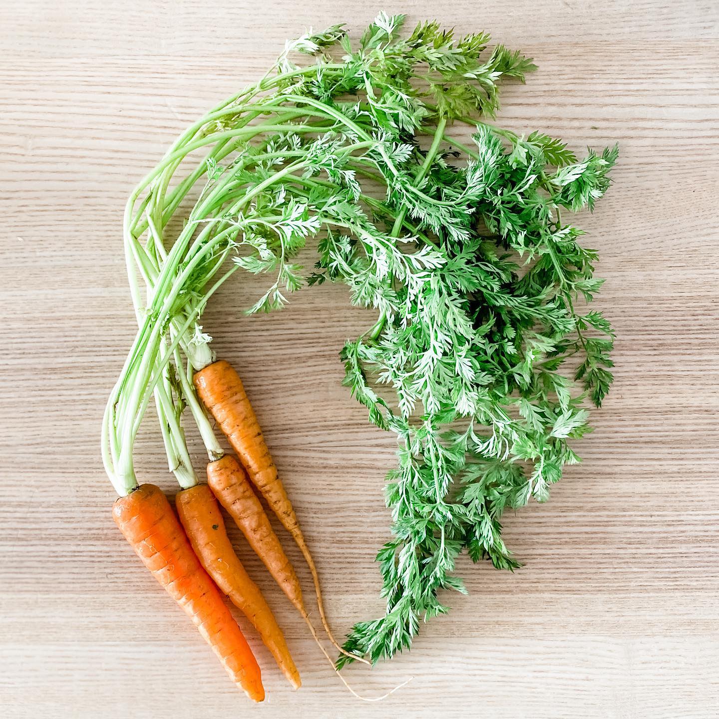 自製雪菜(雪裏紅) - step 2